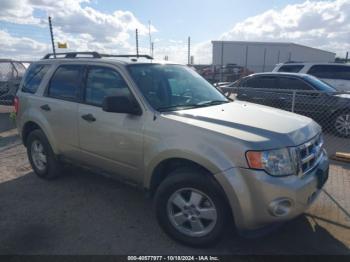  Salvage Ford Escape