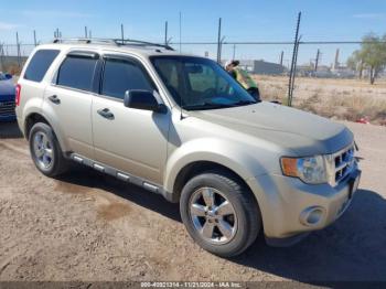  Salvage Ford Escape