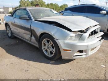  Salvage Ford Mustang