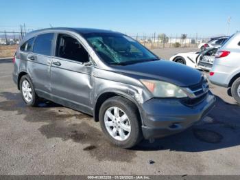  Salvage Honda CR-V