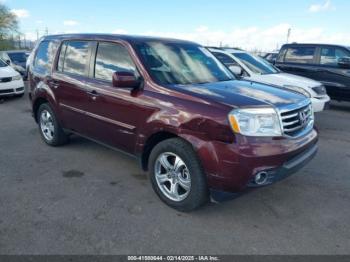  Salvage Honda Pilot