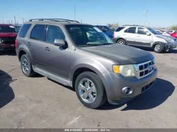  Salvage Ford Escape