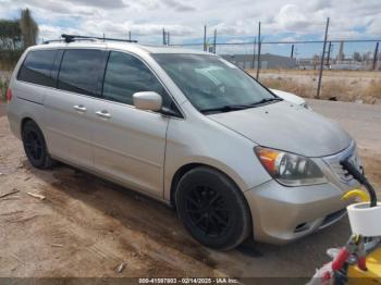  Salvage Honda Odyssey