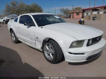  Salvage Ford Mustang