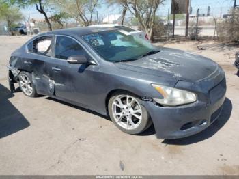  Salvage Nissan Maxima