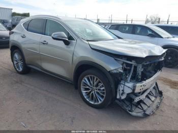  Salvage Lexus NX