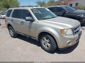  Salvage Ford Escape