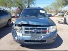 Ford Escape Xlt Image 12