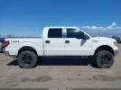 Ford F-150 Xlt Image 7