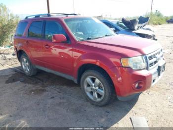  Salvage Ford Escape