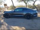 Ford Mustang Ecoboost Image 14