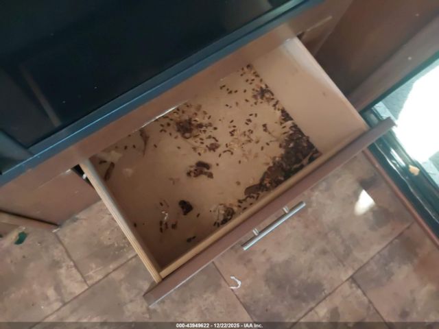 Forest River XLR Image 11