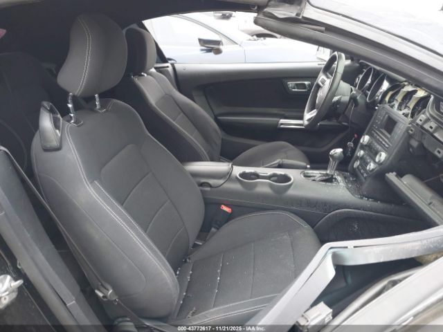 Ford Mustang V6 Image 3