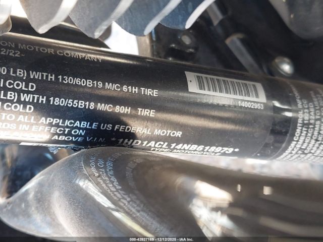 Harley-Davidson Fltrxst Image 9