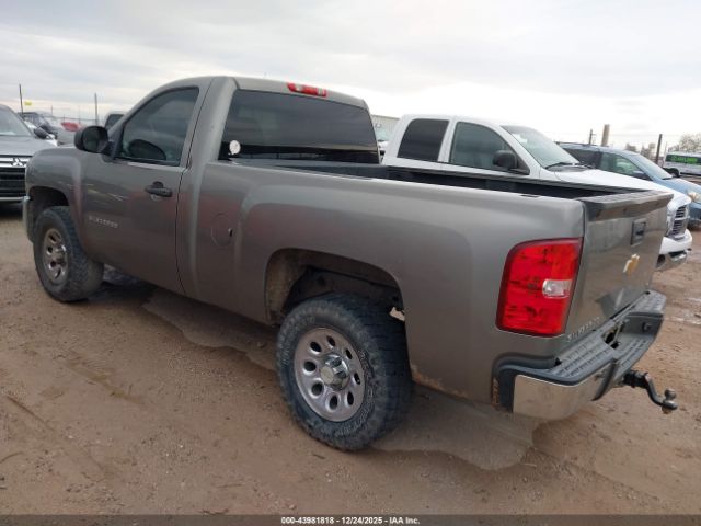 Chevrolet Silverado 1500 Work Truck Image 7