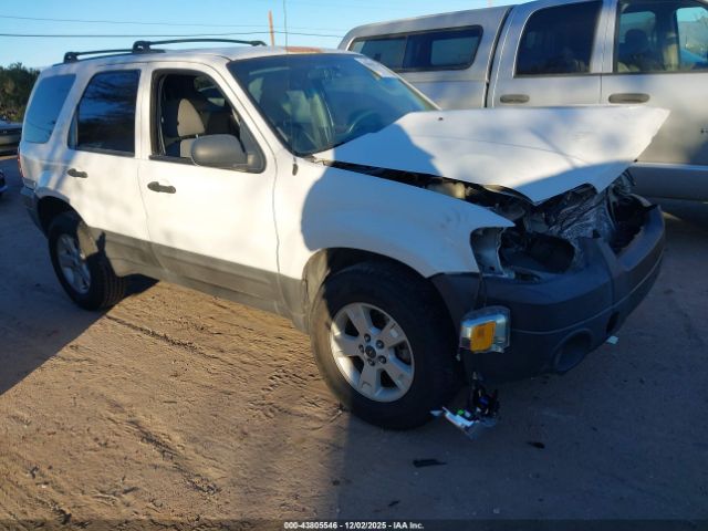 Ford Escape Xlt Image 1