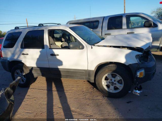 Ford Escape Xlt Image 12